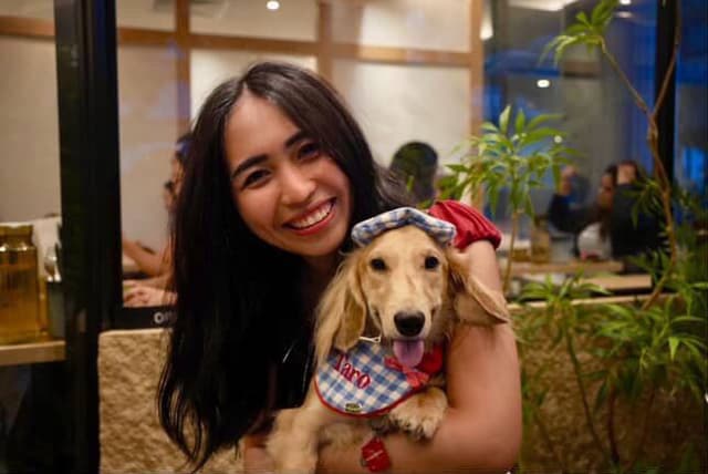 pawwhere hero image taro dachshund with owner